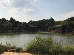 -宝岩生态观光园