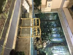 凌海花园温泉酒店-九华山酒店温泉