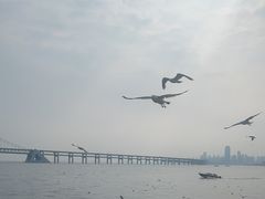 -星海广场