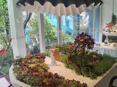 -春树下·树屋花房西餐厅(罍街AS1980店)