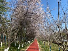 -弄堂里(雨花客厅店)