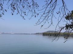 -武汉大学图书馆·文理学部总馆