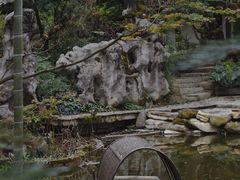 -南山植物园