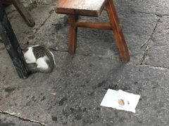 -小河无名面馆