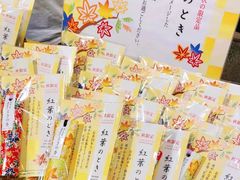 -香老铺松荣堂(产宁坂店)