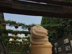 醋味冰淇淋-东湖醋园