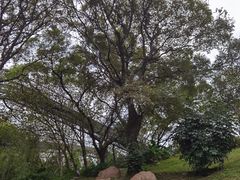 -梅峰山地公园
