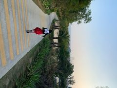 -广东惠东海龟国家级自然保护区