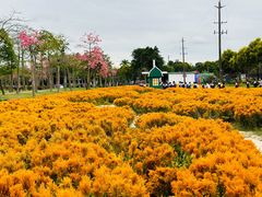 -广东花都香草世界旅游度假区