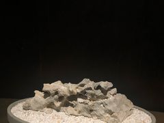 -木守西溪溪隐餐厅
