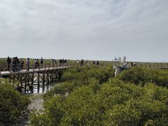 -北海金海湾红树林生态旅游区