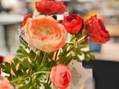 -宜家家居(哈尔滨商场店)