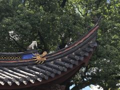 -阿育王寺素斋馆