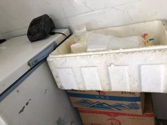 -胖子锅贴(双阳路111弄店)