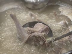 -鸽鸟轩(石岐店)