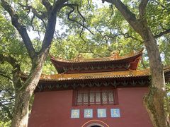 -普陀山风景名胜区-法雨禅寺