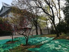 -海淀教堂教堂婚礼