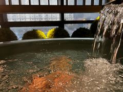 -青水瓦台汤泉(未央店)