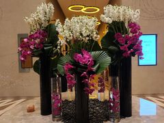 -连云港苏宁索菲特酒店