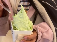 -野人先生现做冰淇淋(北京王府井东方新天地店)