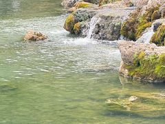 -南京珍珠泉风景区