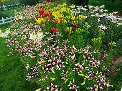 -长春公园(普阳街道)