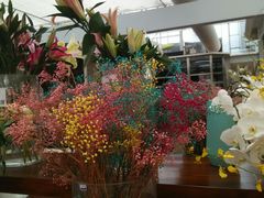-荷兰花海