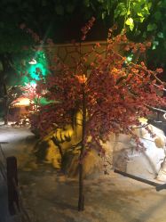 点击看大图 -酷嗒动物文化乐园(cutezoo西溪乐天城店)