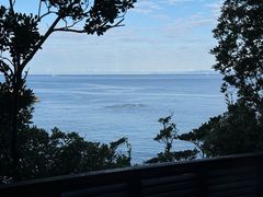 -滨千鸟之汤 海舟
