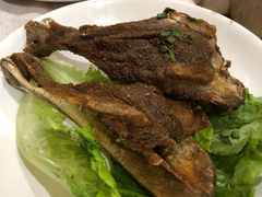 -龙珠饭店-深夜大食堂(五爱西直街店)