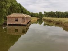 -白渔泡湿地公园