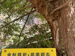 -大慈岩风景区