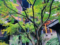 -鱼桥巷·美学川菜