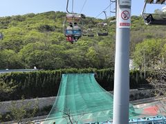 -富斯特索道