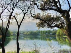 -东昌湖风景区