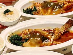 -新光酒家·河豚·海鲜·蟹料理(浦东店)