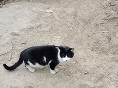 -上海佘山国家森林公园天马山园