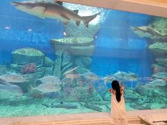 -蒂铂·美人鱼·海底餐厅(海棠湾店)