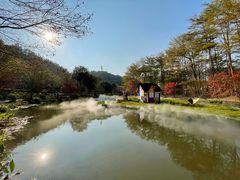 -田野绿世界