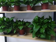 -特优手机电脑维修(中福城二期店)