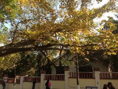 iphone_upload_pic-八大关景区