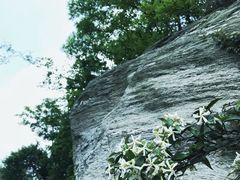 -木兰云雾山