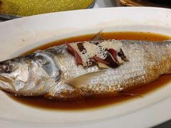 酒香鲥鱼-宝燕壹号(长寿店)
