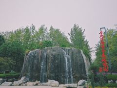 -合肥滨湖国家森林公园