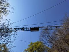 -香炉山国家森林公园