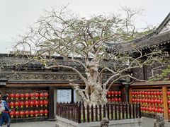 -中山詹园