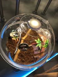 -七巧国萌宠乐园(龙湖天街店)