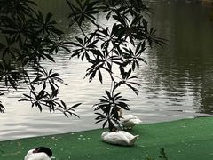 -广州长隆野生动物世界
