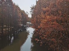 -厦门园林博览苑