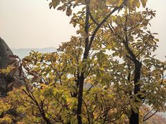 -吉林市朱雀山国家森林公园